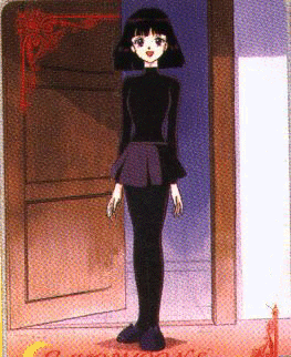 satdoor.gif (63176 bytes)